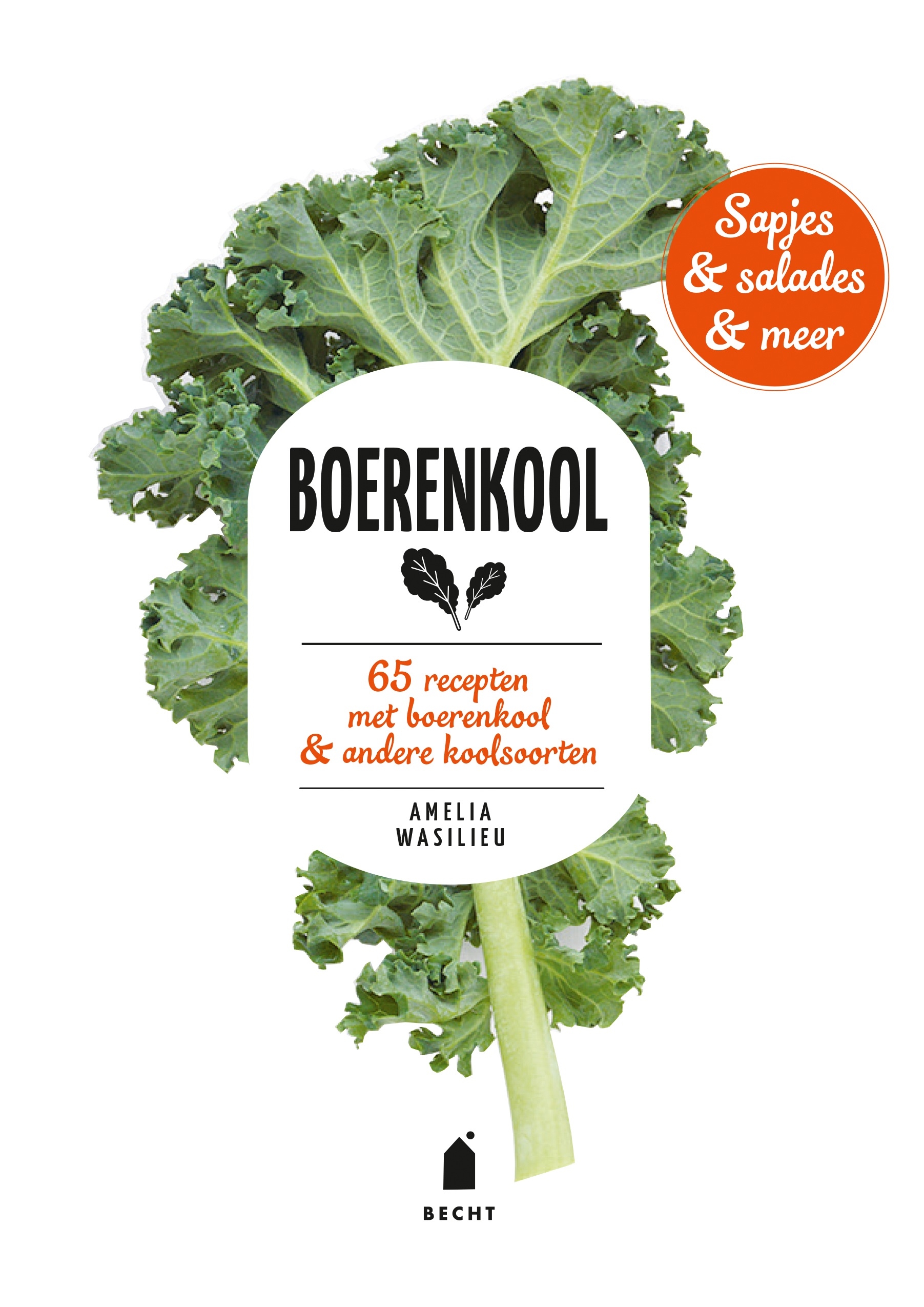 Boerenkool