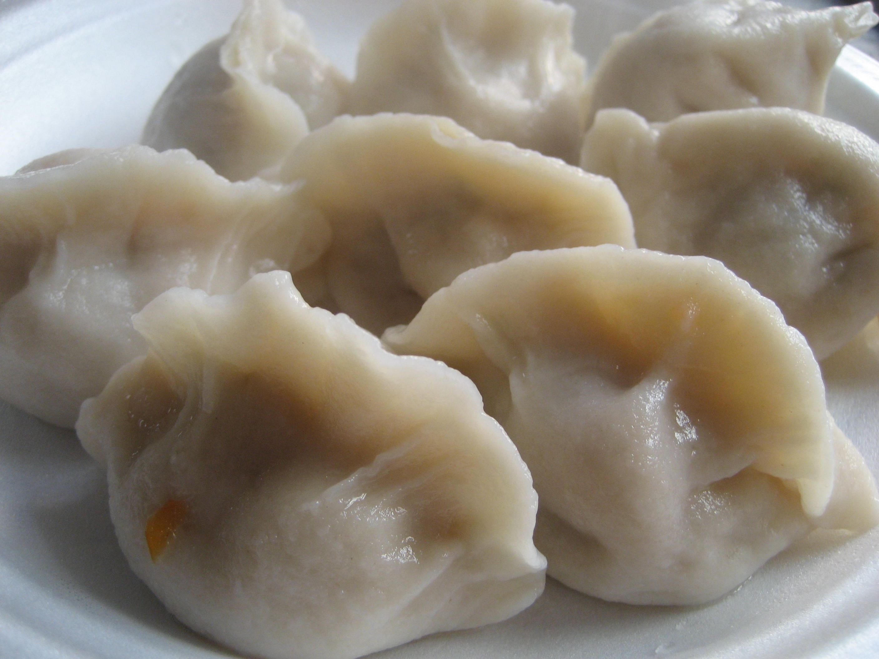 Gyoza Dumpling Vorm